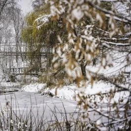 Hotel Szépalma Porva-Szépalmapuszta - Egyéb