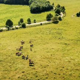 Hotel Szépalma Porva-Szépalmapuszta - Külső kép