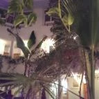 MenDan Magic Spa & Wellness Hotel Zalakaros - Belső