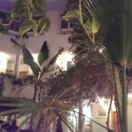 MenDan Magic Spa & Wellness Hotel, Zalakaros - Belső