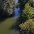 Edelényi kastélysziget Edelény - 