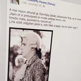 Edelényi kastélysziget, Edelény - 