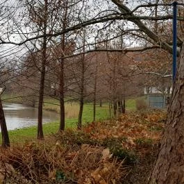 Open Hotel, Szentes - Környék