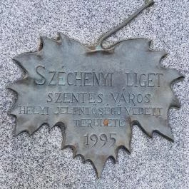 Open Hotel, Szentes - Környék