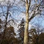 Open Hotel Szentes - Környék