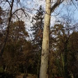 Open Hotel, Szentes - Környék