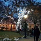 Open Hotel Szentes - Környék