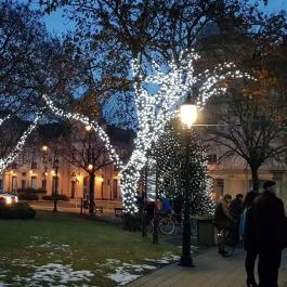 Open Hotel, Szentes - Környék