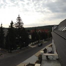 Calimbra Konferencia & Wellness Hotel Miskolctapolca - Környék