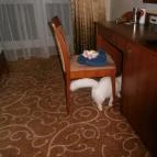 Hotel Atlantis Wellness & Conference Hajdúszoboszló - Szobák