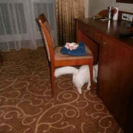 Hotel Atlantis Wellness & Conference, Hajdúszoboszló - Szobák