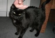 Bor Apartmanház Gyenesdiás