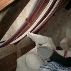 Puchner Kastélyszálló Bikal - Belső