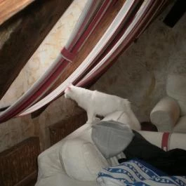 Puchner Kastélyszálló, Bikal - Belső