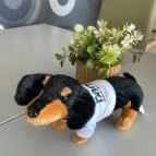 Park Inn by Radisson Zalakaros Resort & Spa Zalakaros - Egyéb