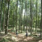 Grandhotel Galya Galyatető - Környék