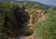 Ammonitesz tanösvény Villány