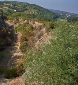 Ammonitesz tanösvény