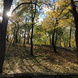 Angolkert, Tata - Egyéb