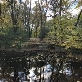 Angolkert, Tata - Egyéb