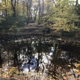 Angolkert, Tata - Egyéb