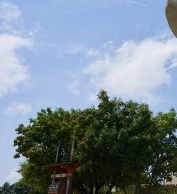 Bence-hegyi kilátó