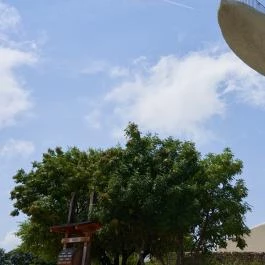 Bence-hegyi kilátó Velence - Külső kép