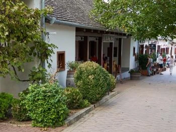 Blum Pince - Borozó Villány