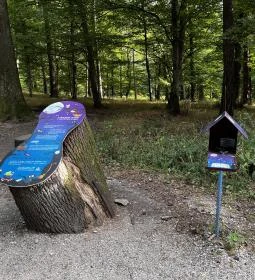 Boszorkány meseösvény