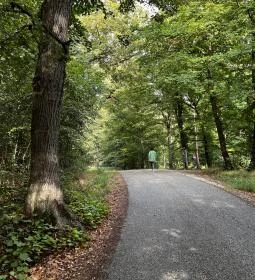 Boszorkány meseösvény