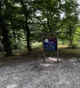 Boszorkány meseösvény