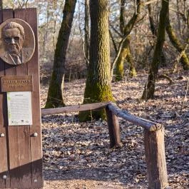 Budakeszi Vadaspark Budakeszi - Egyéb