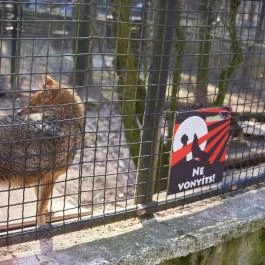 Budakeszi Vadaspark Budakeszi - Egyéb