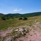 Budaörsi Kopárok Budaörs - Egyéb