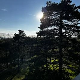 Cardoner Hotel Pilisszentkereszt - Környék