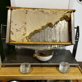Cardoner Hotel Pilisszentkereszt - Vendéglátás
