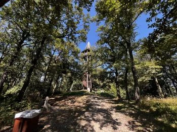 Ciklámen tanösvény Sopron