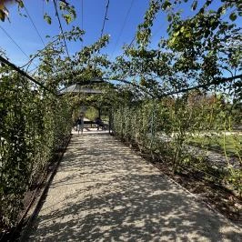 Cziráky Margit Rózsakert, Fertőd - Egyéb