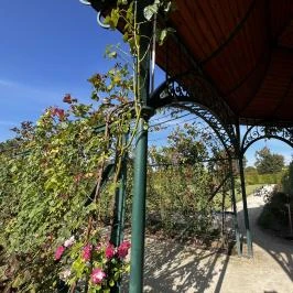 Cziráky Margit Rózsakert, Fertőd - Egyéb