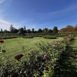 Cziráky Margit Rózsakert, Fertőd - Egyéb