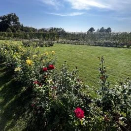 Cziráky Margit Rózsakert, Fertőd - Egyéb