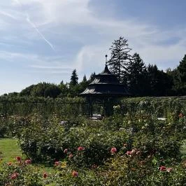 Cziráky Margit Rózsakert, Fertőd - Egyéb