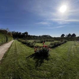 Cziráky Margit Rózsakert, Fertőd - Egyéb