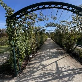 Cziráky Margit Rózsakert, Fertőd - Egyéb