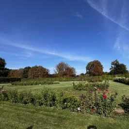 Cziráky Margit Rózsakert, Fertőd - Egyéb