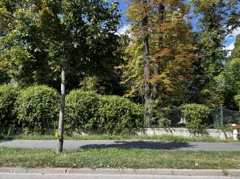 Erzsébet-kert Sopron