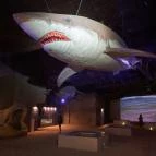 Fertőrákosi Kőfejtő és Barlangszínház Fertőrákos - Belső