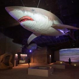 Fertőrákosi Kőfejtő és Barlangszínház Fertőrákos - Belső