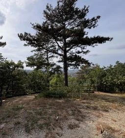 Soproni Gloriette-kilátó