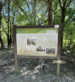 Hármashatár-hegy